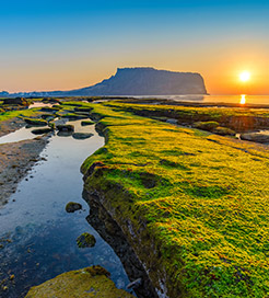 Isola di Jeju